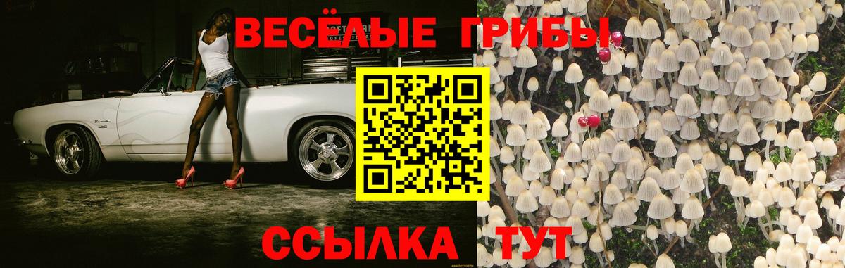 Галлюциногенные грибы мицелий Электрогорск