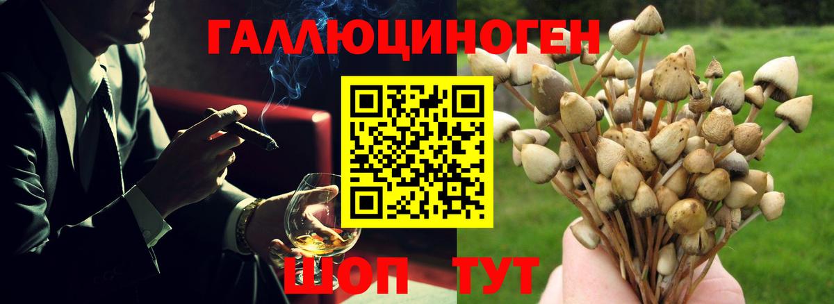 Электрогорск  Псилоцибиновые грибы Magic Shrooms  Галлюциногенные грибы мицелий  Вход с VPN 
